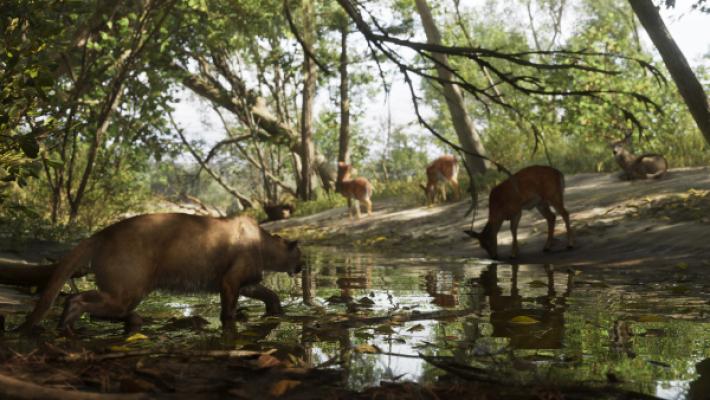 Mount_Kalaga_National_Park_05